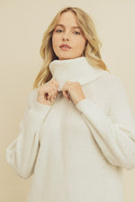 Load image into Gallery viewer, RIBBED TURTLENECK DRESS
