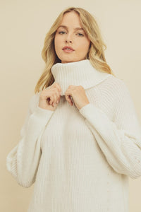 RIBBED TURTLENECK DRESS