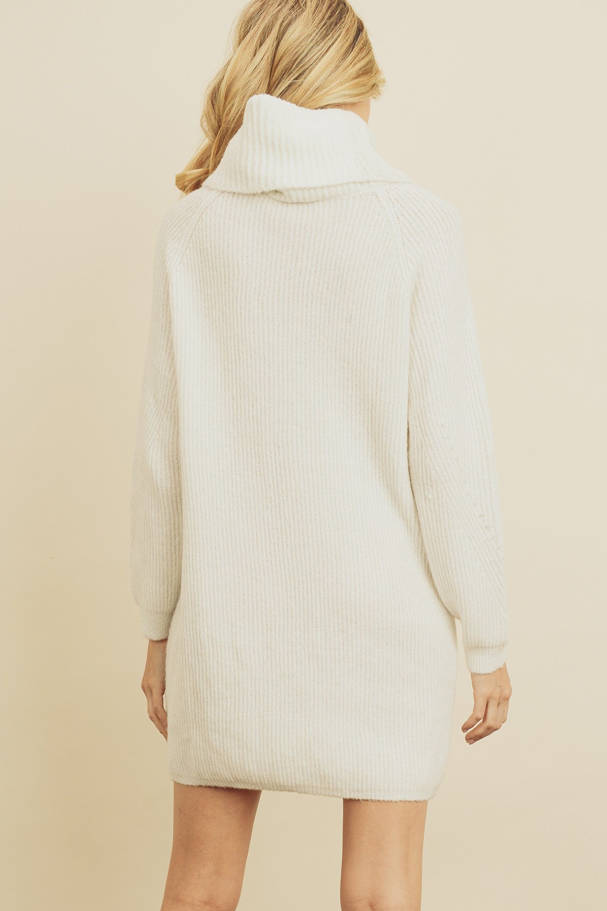 RIBBED TURTLENECK DRESS