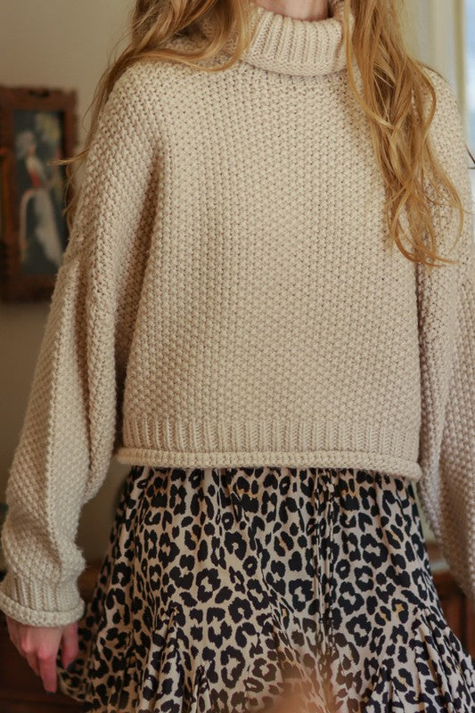 BEIGE TURTLENECK CROP SWEATER
